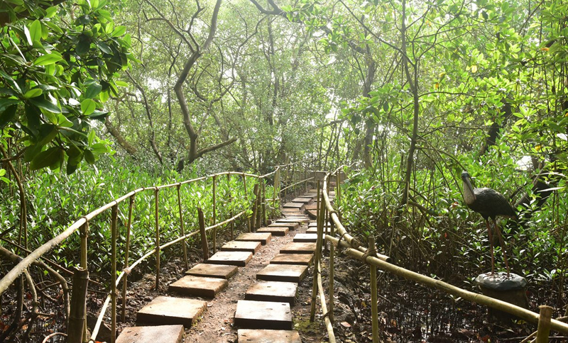 Salim Ali Bird Sanctuary